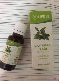 Çay ağacı, avustralya'ya özgü bir bodur ağaç türüdür. Cay Agaci Yagi Gratis Diger Cilt Bakimi 75 Indirimli Gardrops
