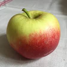 Notable people with the surname include: Der Apfel Im Sachunterricht Peanut S Peanuts