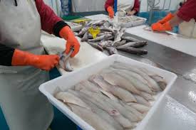 Découvrez les métiers qui recrutent avec manpower france dans le secteur du tertiaire ainsi que les offres d'emploi téléconseiller. Fiche Metier Mareyeur H F Ouestfrance Emploi