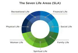 Ranking Your Seven Life Areas The Blackdragon Blog