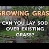 Bayside sod is a 5th generation family farm, we care about our products, we care about you, our clients. Https Encrypted Tbn0 Gstatic Com Images Q Tbn And9gcrhfcrfyp 6nxy Tqzhp Xw7nai9mvmirasowbkeadp3gip1vt Usqp Cau