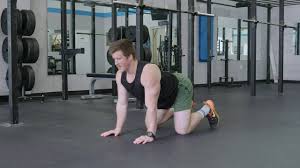 So we're going to come into cat and cow pose. Cat Cow Lower Back Warm Up Exercises Youtube
