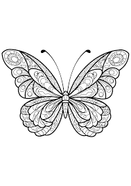 Insetti 27022 Farfalle E Insetti Disegni Da Colorare Per Adulti
