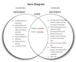 vertebrate invertebrate anchor chart google search