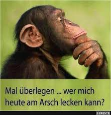 Mal Uberlegen Affenbilder Affen Bilder Tierspruche