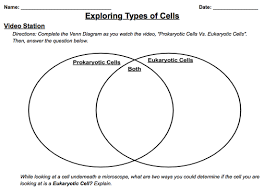 Types Of Cells Jonathan S Classroom