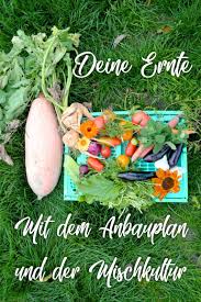 Gemusegarten Anbauplan So Gelingt Dir Gemuse Anbauen Haus Und Beet Garten Gemuse Anpflanzen Gemuse Anbauen