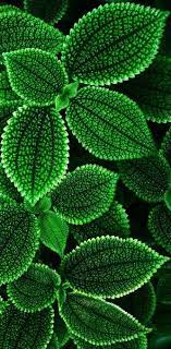 We've been in business for more than 30 years and are one of the largest florists in the nation. Pin On Patterns