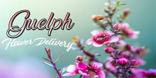 Check spelling or type a new query. The 10 Best Options For Flower Delivery In Guelph 2021