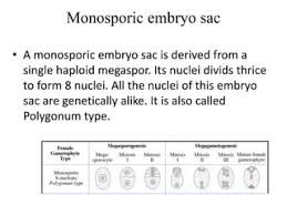Types Of Embryo Sac | Ppt