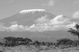This character unlocks automatically, as you progress in the game's . Kili Partners Unlocking Africa