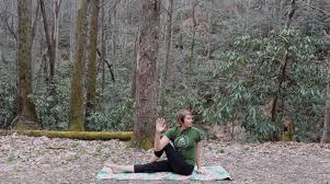 Moringa is a herb that can help ward off many health complications. Plan Your Asheville Adventure Free Ways To Stay Calm And Healthy And Boost Your Immune System During Coronavirus Covid 19 Namaste In Nature