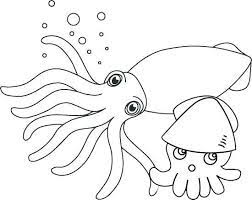 Use this lesson in your classroom, homeschooling curriculum or just as a fun kids activity that you as a parent can do. Pin By Illustration Designer On Squid Coloring Pages Undersea Themes Baby Coloring Pages Coloring Pages Animal Coloring Pages
