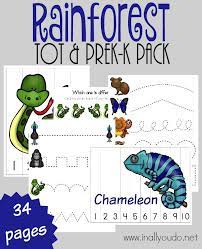 rainforest tot prek k pack 34 total pages