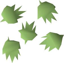 Spines help the cactus in several ways. Cactus Seed Old School Runescape Wiki Fandom