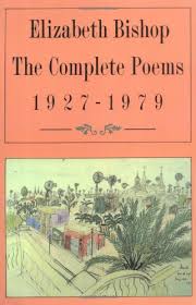 Elizabeth Bishop Poems Literary Elements Gradesaver