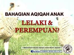 Dpt menghayati cara islam mensyukuri kelahitan anak dpt melahirkan kesyukuran dan kegembiraan kerana mendapat zuriat mengeratkan silaturrahim ahli. Facebook