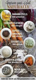 Maybe you would like to learn more about one of these? Start A Fire Organic Gardening Tips Plant Food Garden Compost