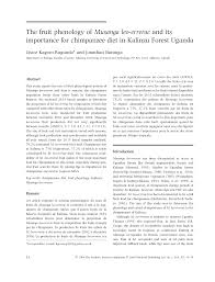 Image result for Musanga leo-errerae