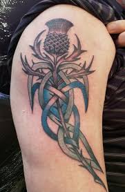 Check spelling or type a new query. Celtic Thistle Scotland Scottish Thistle Tattoo Scottish Tattoos Scotland Tattoo