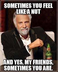 Sometimes you feel like a nut lyrics: Meme Creator Funny Sometimes You Feel Like A Nut And Yes My Friends Sometimes You Are Meme Generator At Memecreator Org