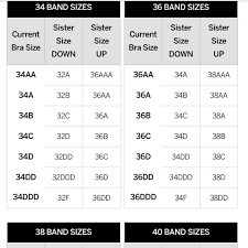 sister size bra chart dont buy