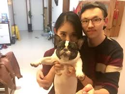 Ipata does not ship pets; 26 Pet Shipping Company Ideas Pet Shipping Pets Pet Relocation
