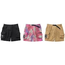 Maybe you would like to learn more about one of these? Details Supreme Supreme The North Face Belted Cargo Pant Supreme Community