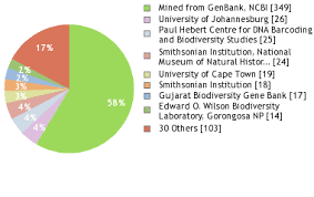 Image result for Indigofera rhytidocarpa