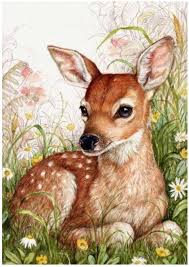 Deer By Debbie Cook Animal Paintings Animal Drawings Art