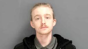 Waynesboro: Witnesses say driver accelerated, struck pedestrian