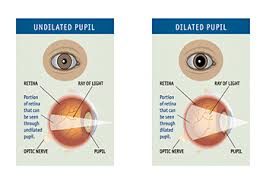 the importance of pupil you should know perrla eyes