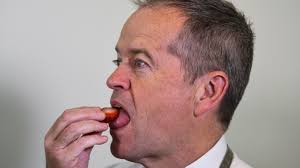 Strawberry scandal: The long term effects