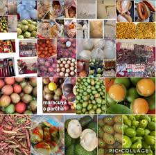 Profile for G&m Tesoros De Mi Tierra