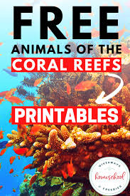 Coral reefs are some of the oldest ecosystems on the planet. Free Animals Of The Coral Reefs Printables Homeschool Giveaways