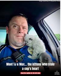 Caught an asshole that was operating a small chop shop. Who knows how many  vehicles hes already picked through and discarded.