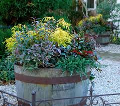 Check spelling or type a new query. 7 Ways To Get Your Container Garden Ready For Winter