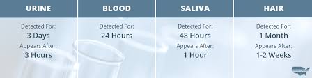 Adderall Detection Time How Long Does Adderall Stay In