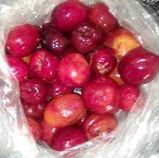 Image result for Anisophyllea boehmii