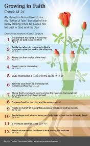 The Quick View Bible Growing In Faith Scripture Study Bible Study Help Quick View Bible