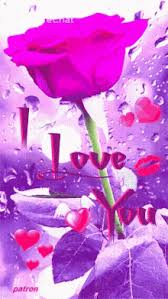 Gif love rose beautiful flowers. I Love You Rose Gif Gifs Tenor