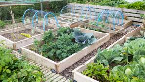 We did not find results for: Study Finds Variation Of Lead Uptake In Fruits Veggies Risk Highest For Children Food Safety News