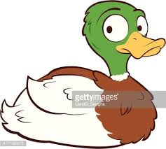 Over 1,256 mallard duck pictures to choose from, with no signup needed. Mallard Duck Clipart 1 566 198 Clip Arts