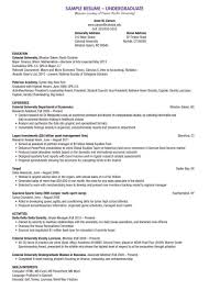 New 6 undergraduate student cv. Resume Examples Me Nbspthis Website Is For Sale Nbspresume Examples Resources And Information Student Resume Template College Resume Resume Examples