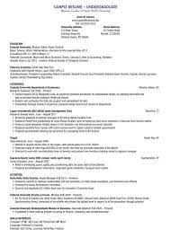 Federal government job resume (new graduate). Resume Examples Me Nbspthis Website Is For Sale Nbspresume Examples Resources And Information Student Resume Template College Resume Resume Examples