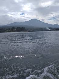 Jarak sejauh itu adalah dari paseban tri panca tunggal. Kayu Sirih Tempat Wisata Di Kuningan Jawa Barat