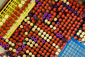 Here's what you need to know, according to women who've been through an ovarian cancer diagnosis. Mayo Clinic On Twitter Could A Blood Test Detect Early Signs Recurrence Of Livercancer Cholangiocarcinoma Learn About Mayo Clinic Research To Develop Liquid Biopsies To Reduce Time Cost Of Screening And Speed
