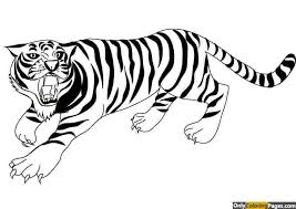 We did not find results for: Realistic Printable Realistic Tiger Coloring Pages Coloring Pages Ideas