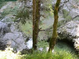 514 likes · 1 talking about this · 338 were here. Mountainbike Von Fall Ums Demmeljoch Tour 123852