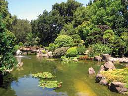 Japanese Garden Elements Types Examples Pictures Japanese Garden Mateo San Tea Ca California Japanese Garden Japanese Garden Design Healthy Garden
